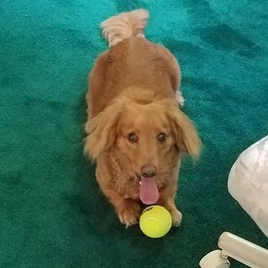 Meet your Posher, Kathie